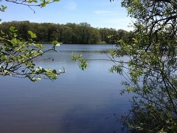 Cleveley Mere Luxury Waterside Lodges Scorton  Exteriér fotografie